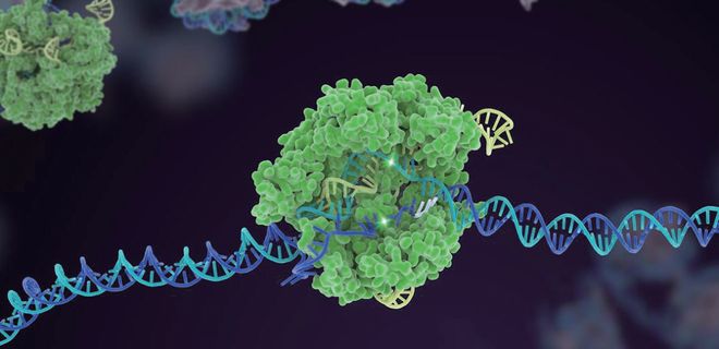 押寶CRISPR和人工智能！張澤民院士團(tuán)隊(duì)的研究方向開始更新了！(圖2)