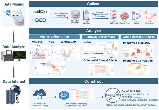腫瘤CRISPRScreen在線平臺(tái)！重磅推薦！(圖3)